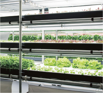 植物工場事業
