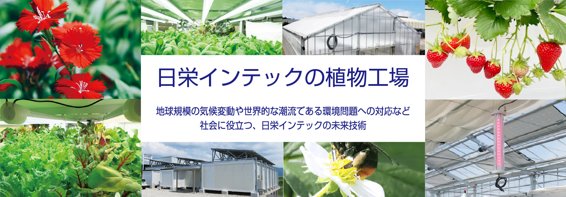 植物工場・コンテナ生鮮庫の開発・製造・販売