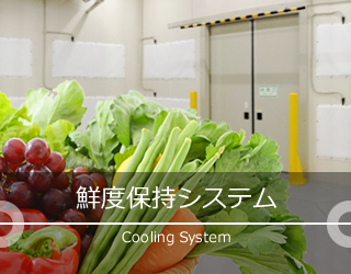 鮮度保持システム