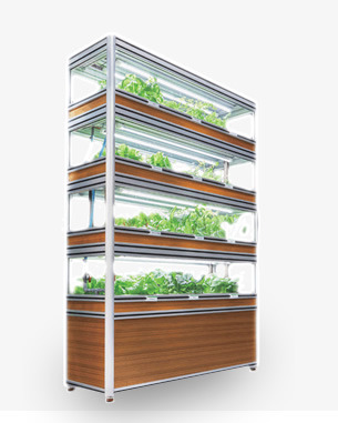 インテリアタイプ植物棚 - 植物工場 - 日栄インテックはLED照明や太陽光発電、立体駐車場、配管・電設資材、 電子機器（バーコードなど）を