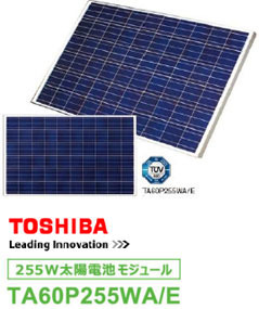 TOSHIBA TA60P255WA/E